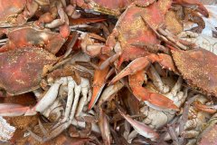 steamed-crabs-2