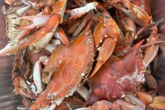 steamed-crabs