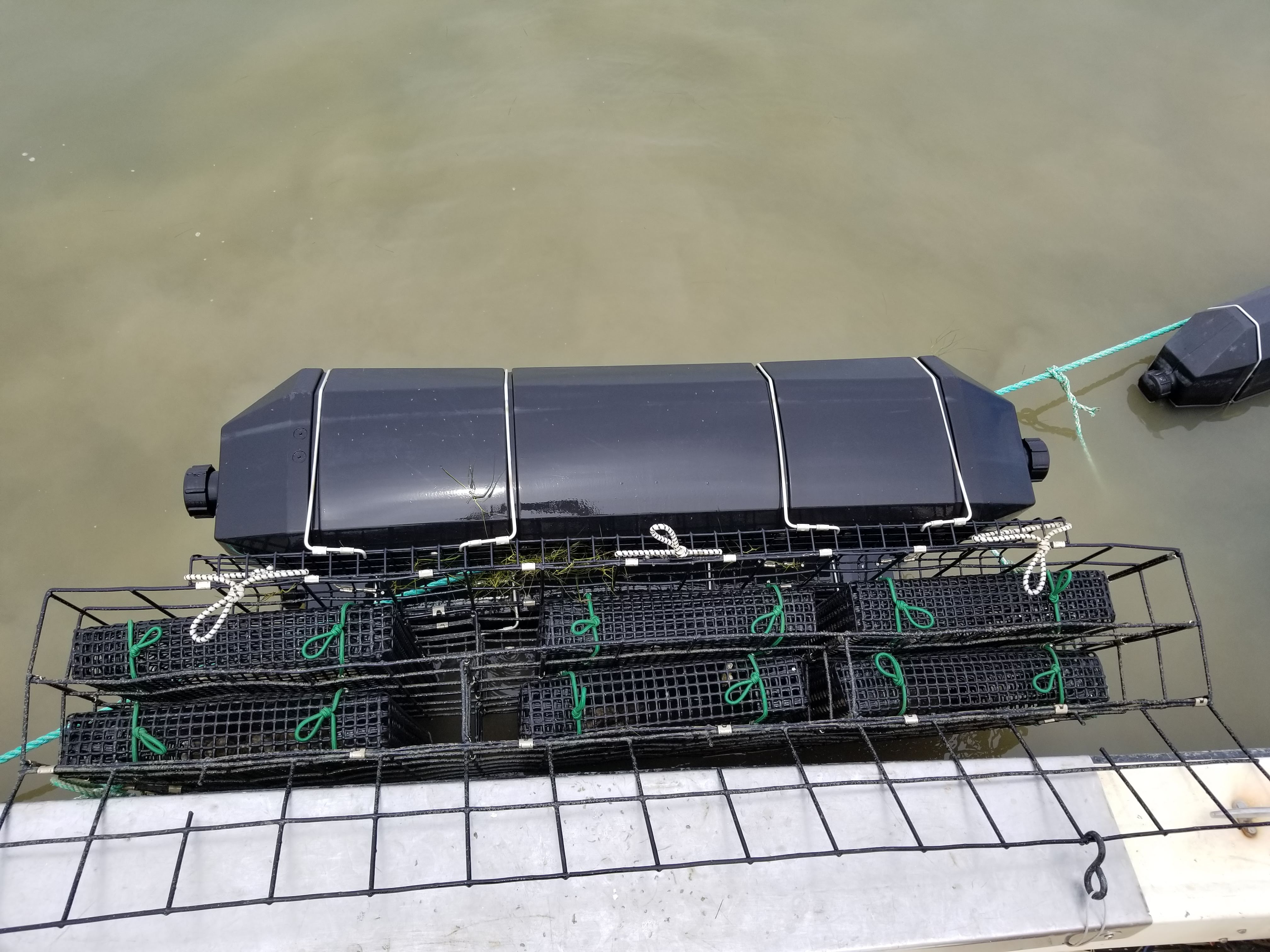 oyster grow out gear floating cages