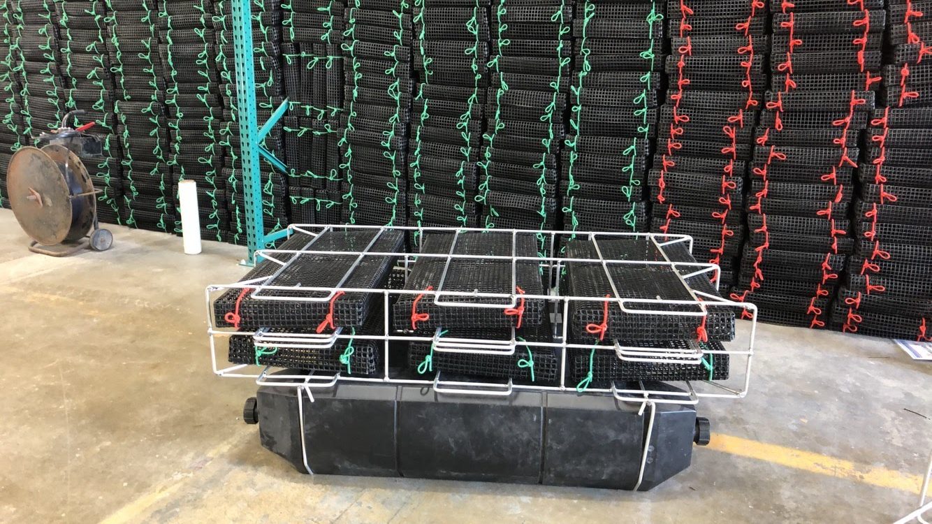 oyster grow out gear floating cages