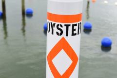 Oyster Lease Buoy Close Up in Water