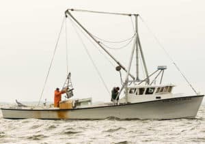 Oyster Chesapeake Partners