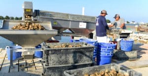 oyster sorter, washer tumbler