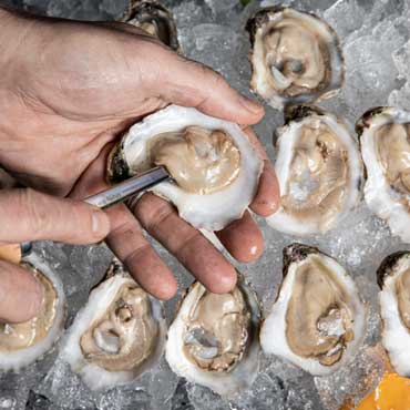 Half-shell Oysters