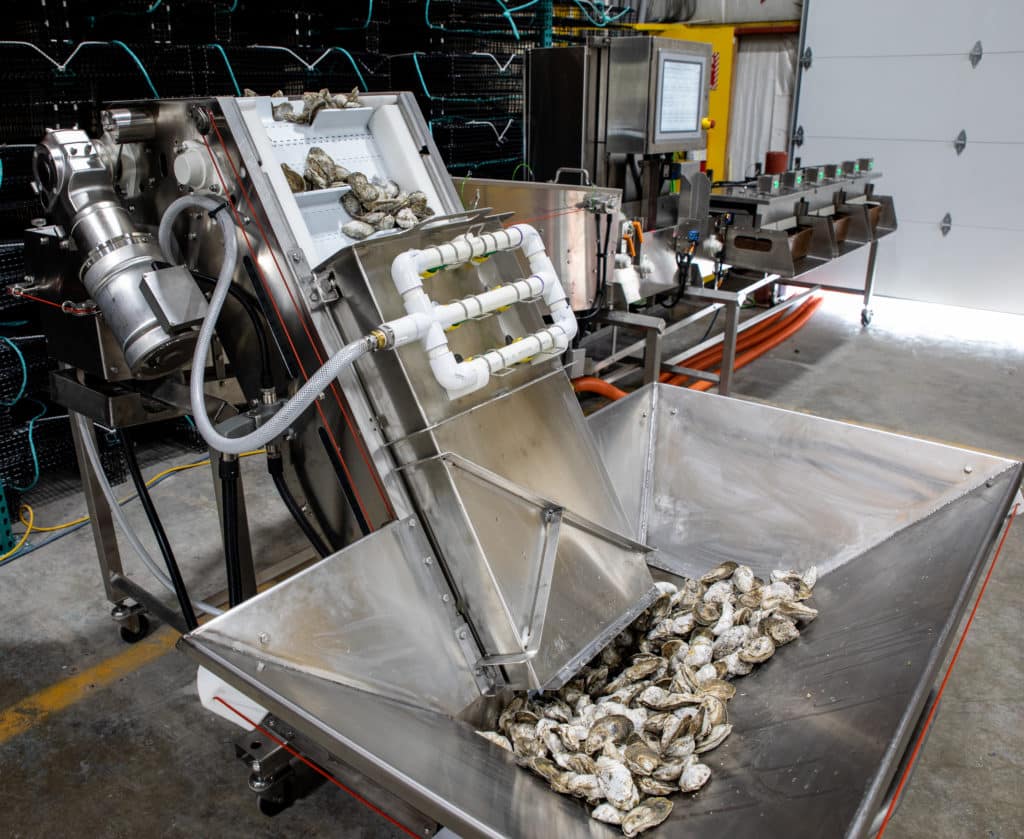 Pearlception Oyster Grader