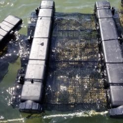 Aquaculture Surface Gear Hexcyl Pods in Water
