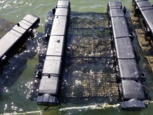 Aquaculture Surface Gear Hexcyl Pods in Water