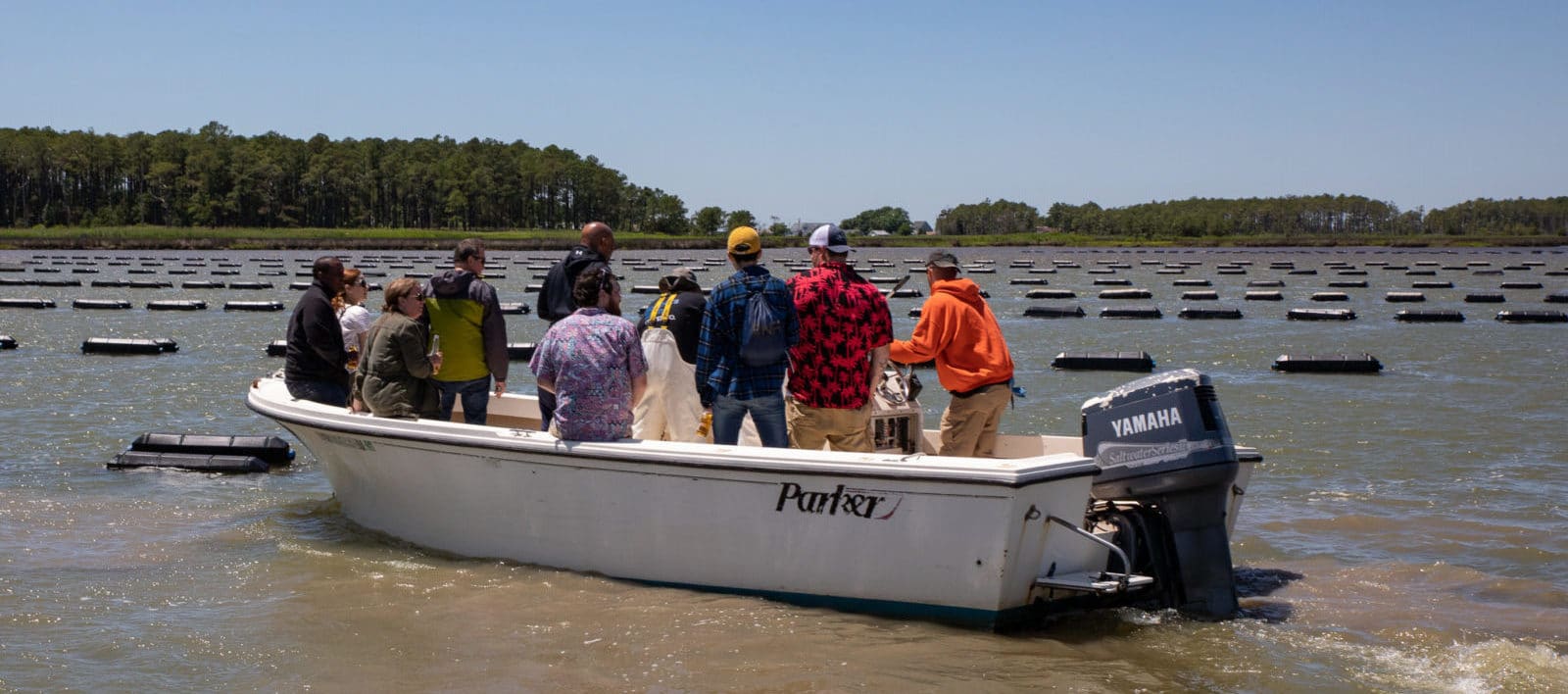 Congressional Seafood Chef Tour at Hoopers Island Oyster Co. Farm