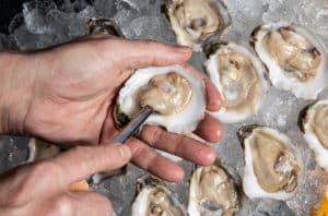Chesapeake Gold shucked oysters