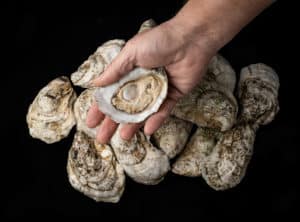 heart healthy oysters