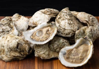 Hoopers Island half shell oysters