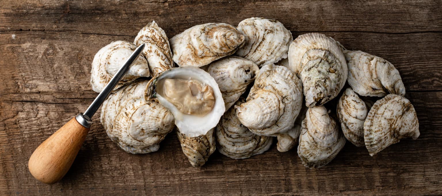 Oyster Farming How We Grow Farm Raised Oysters in the Chesapeake