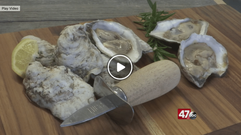 WMDT Visits Hoopers Island Oysters