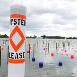 Oyster Lease Buoy with longlines